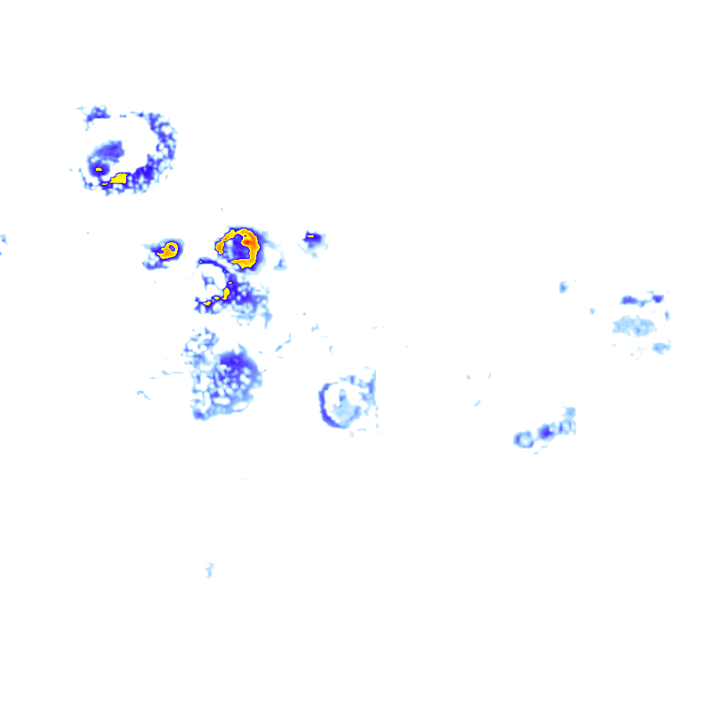 Image Layer