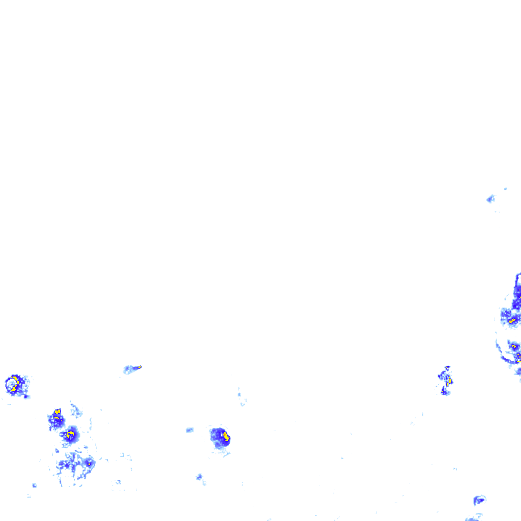rainLayer