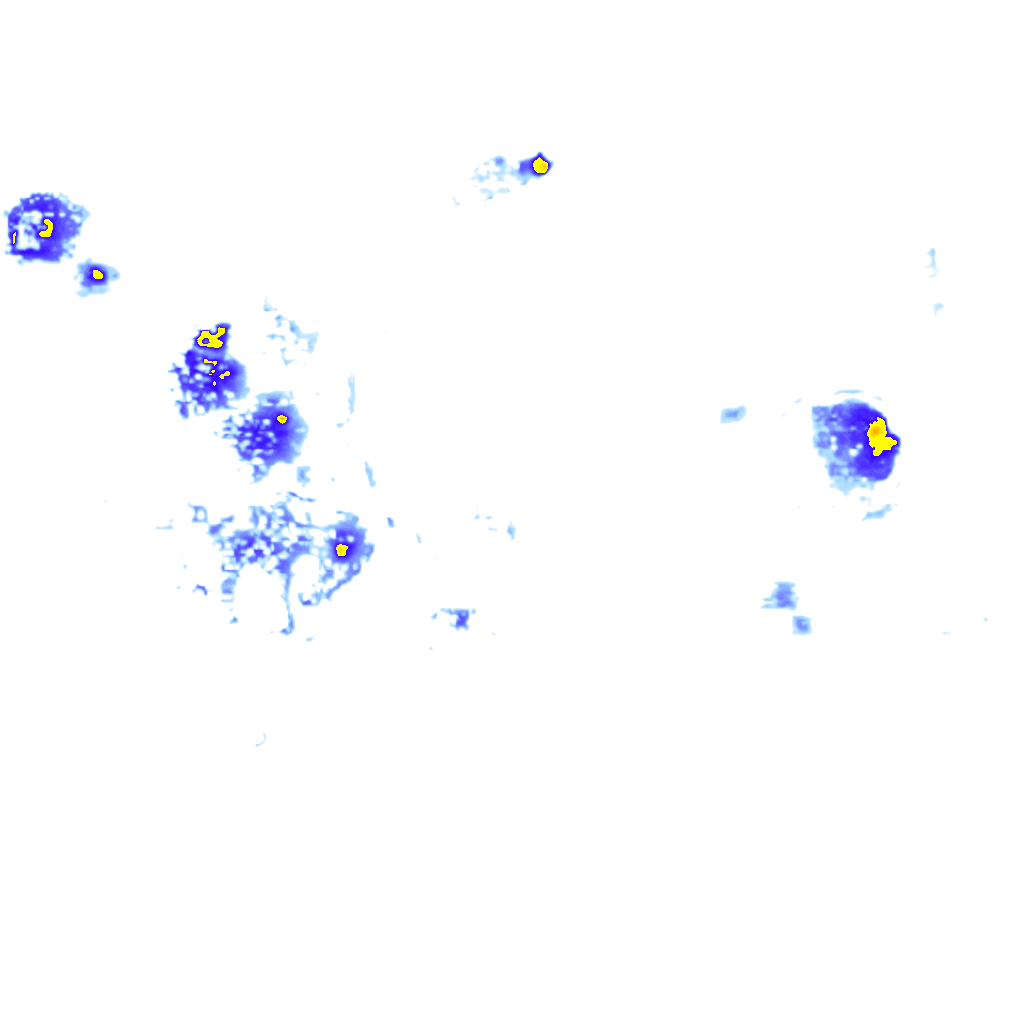 Image Layer