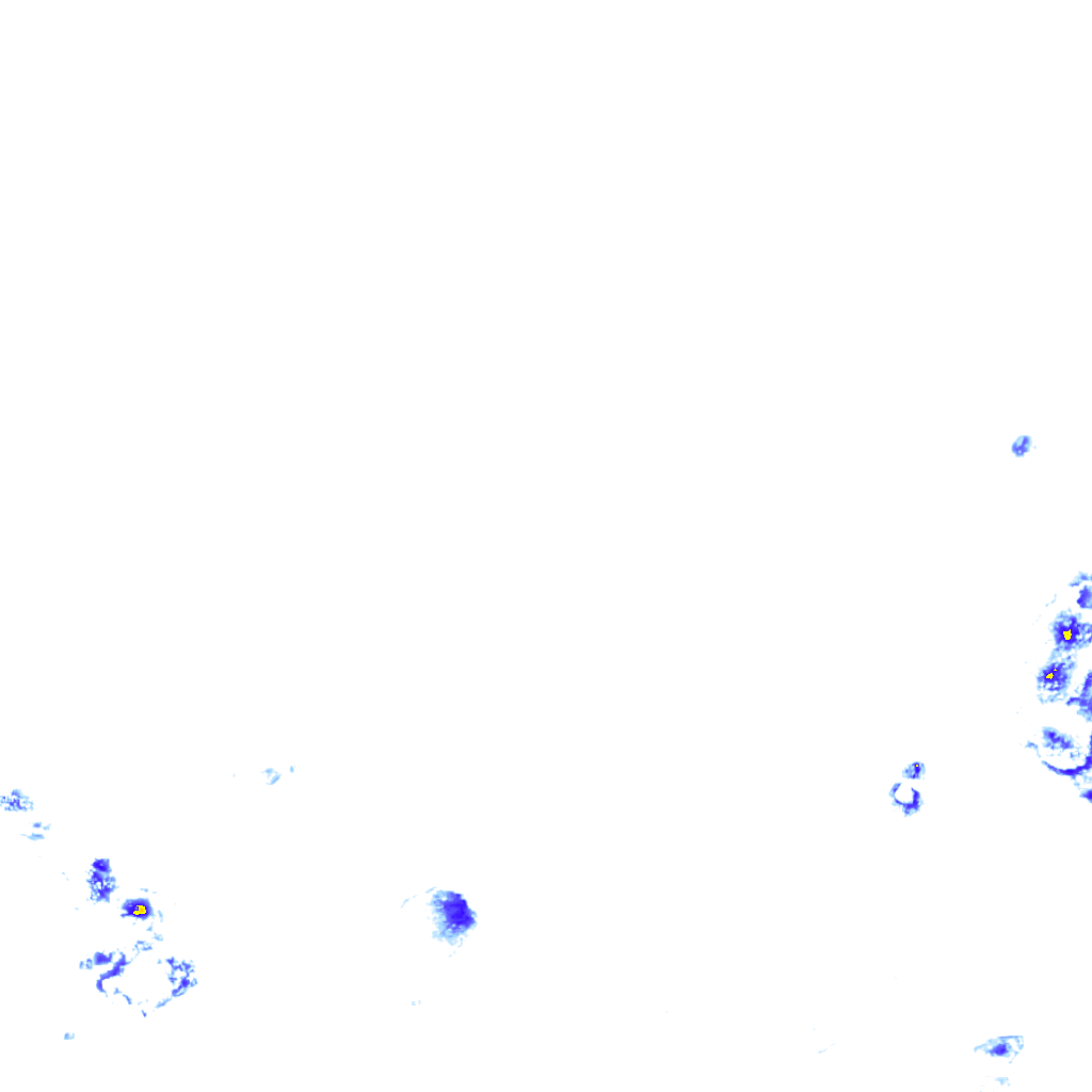 rainLayer