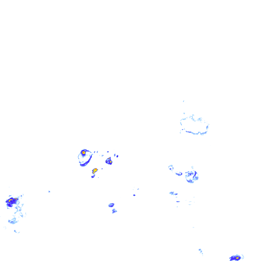 rainLayer