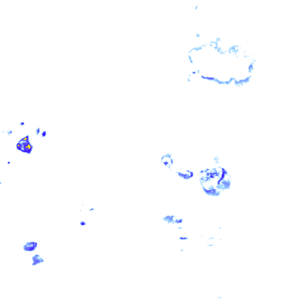 Image Layer
