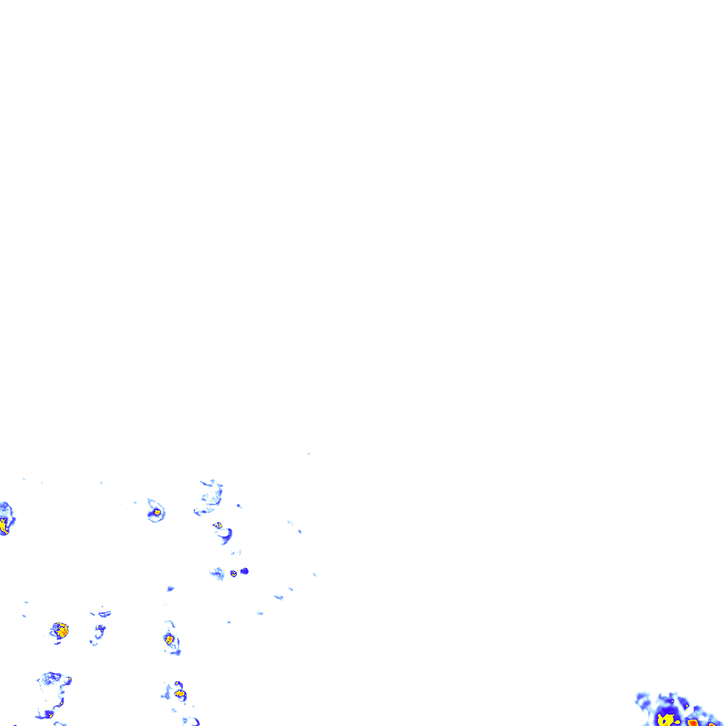 rainLayer