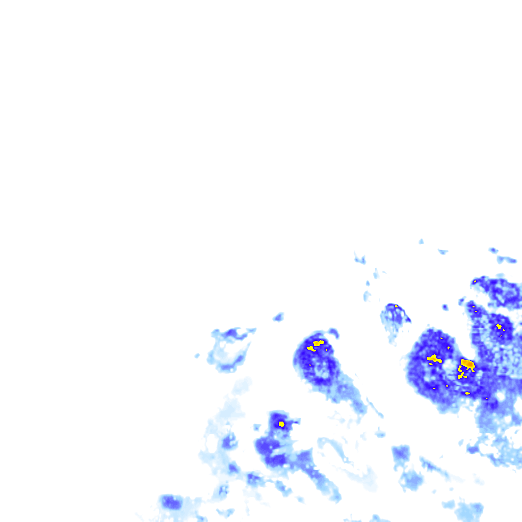 rainLayer