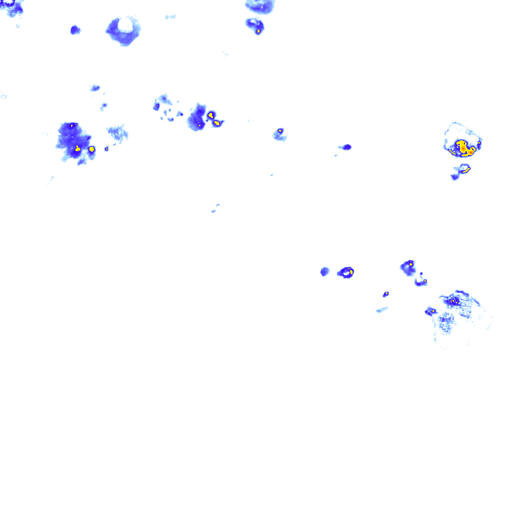 rainLayer