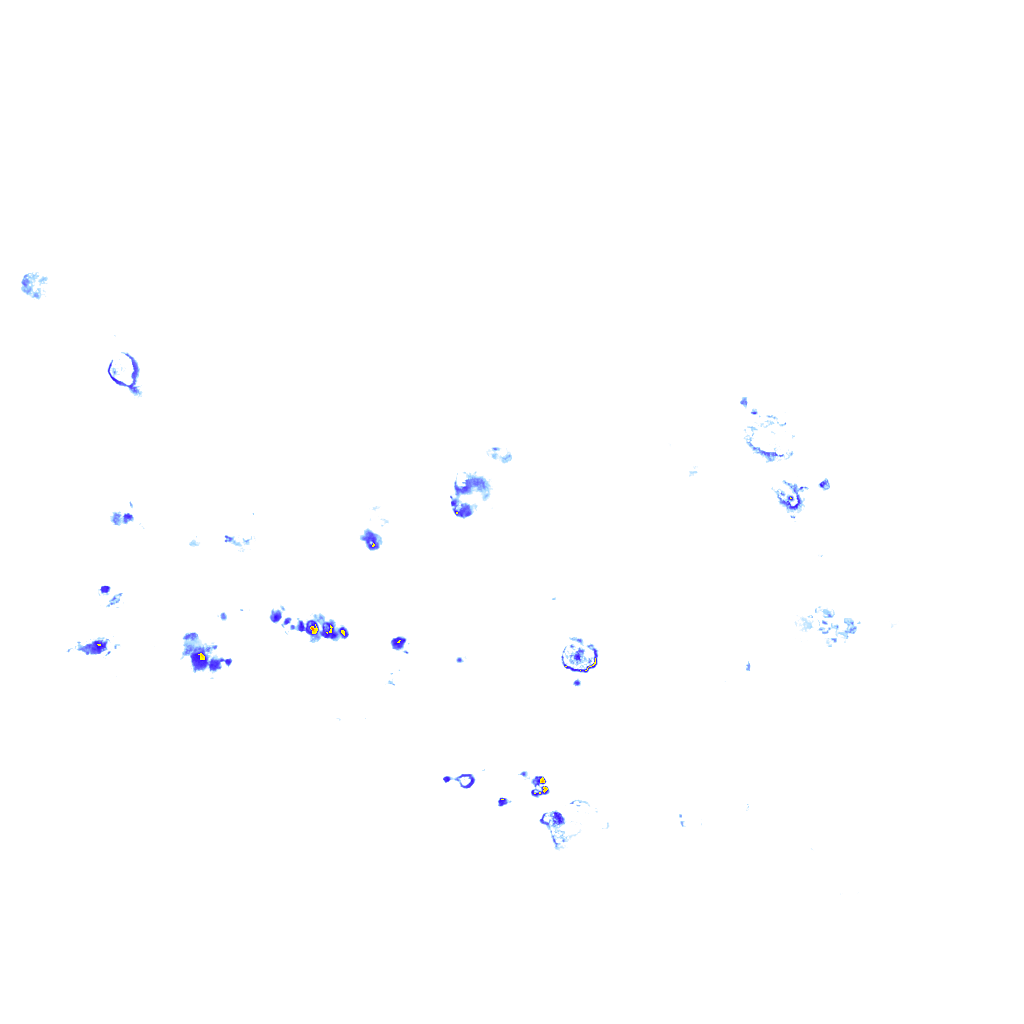 rainLayer