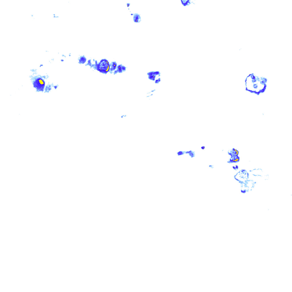 rainLayer