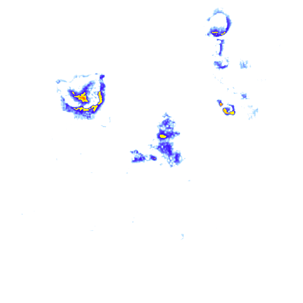Image Layer