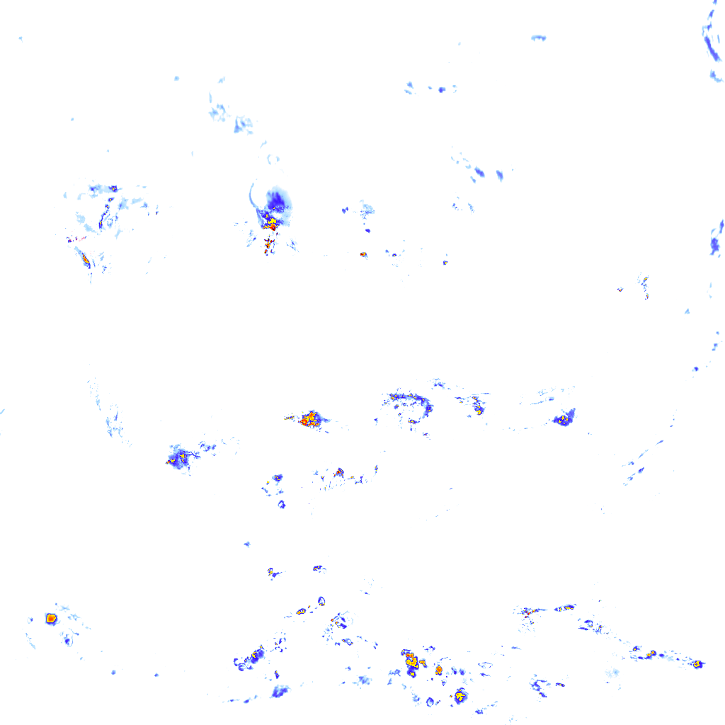 Image Layer