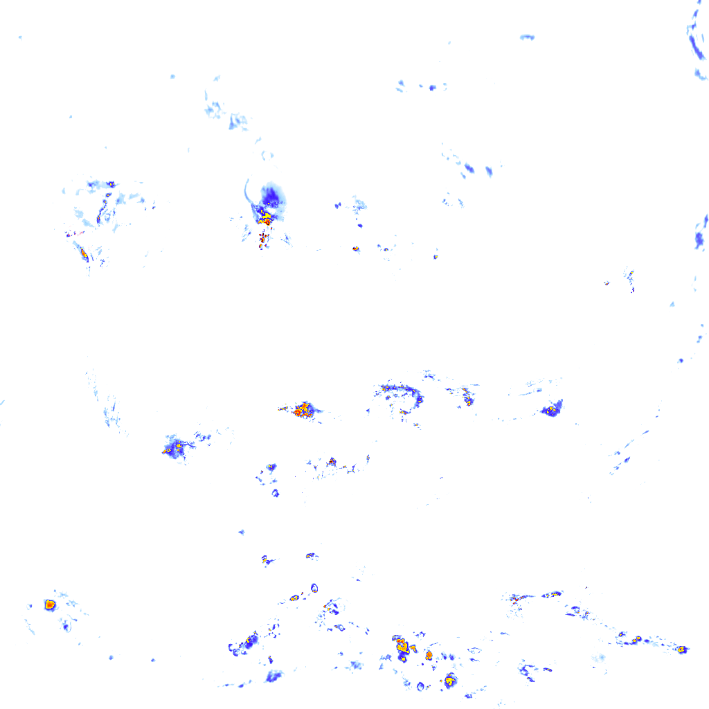 Image Layer