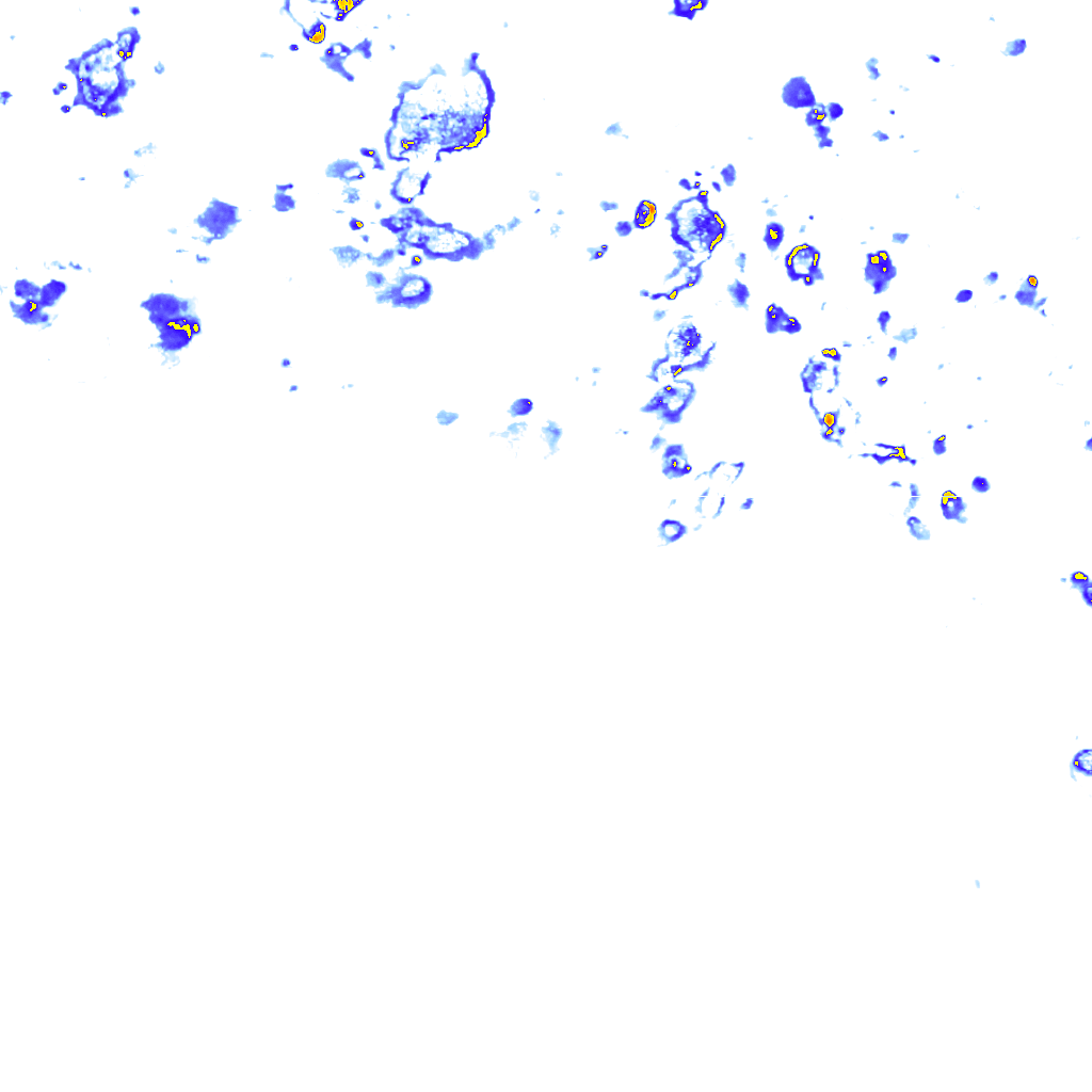 Image Layer