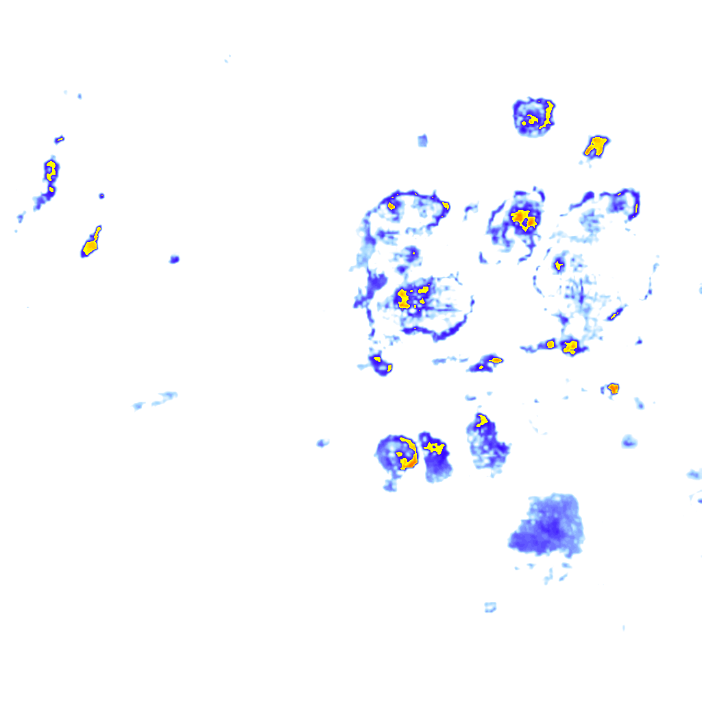 Image Layer