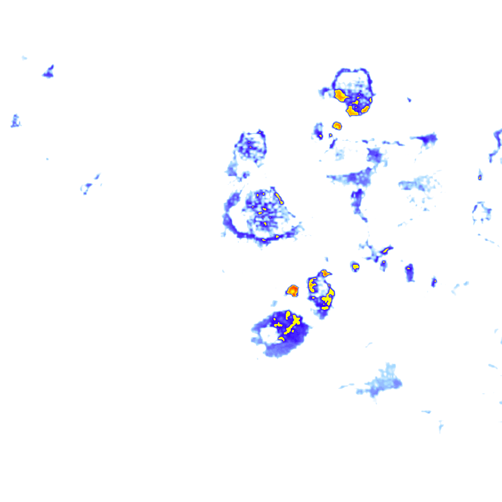 Image Layer