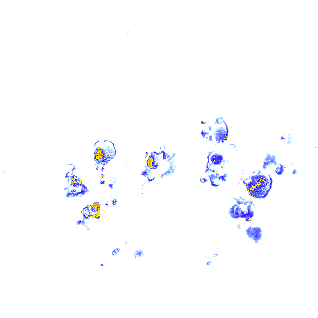 Image Layer