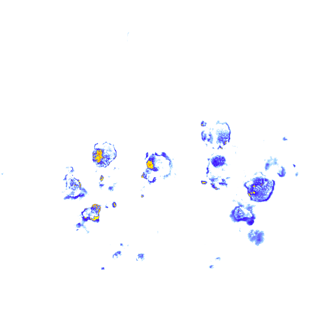 rainLayer
