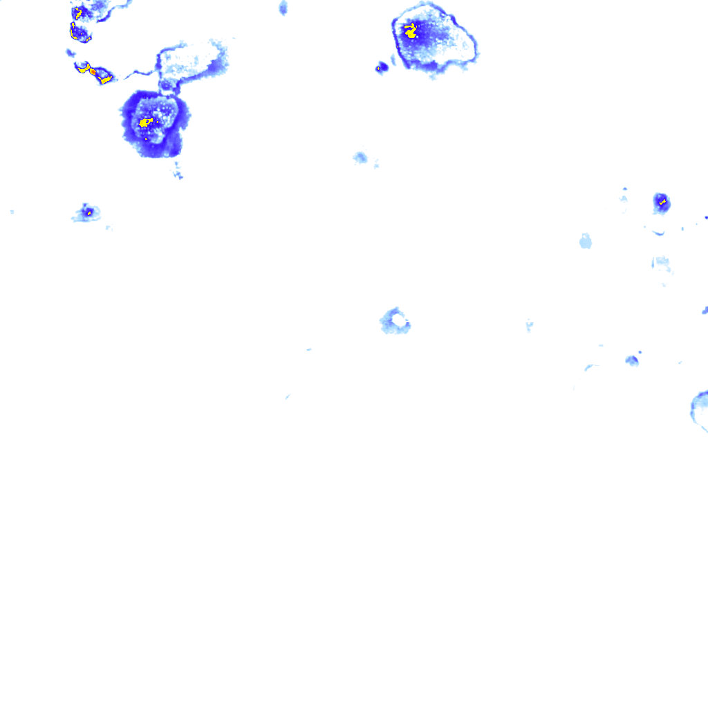 Image Layer