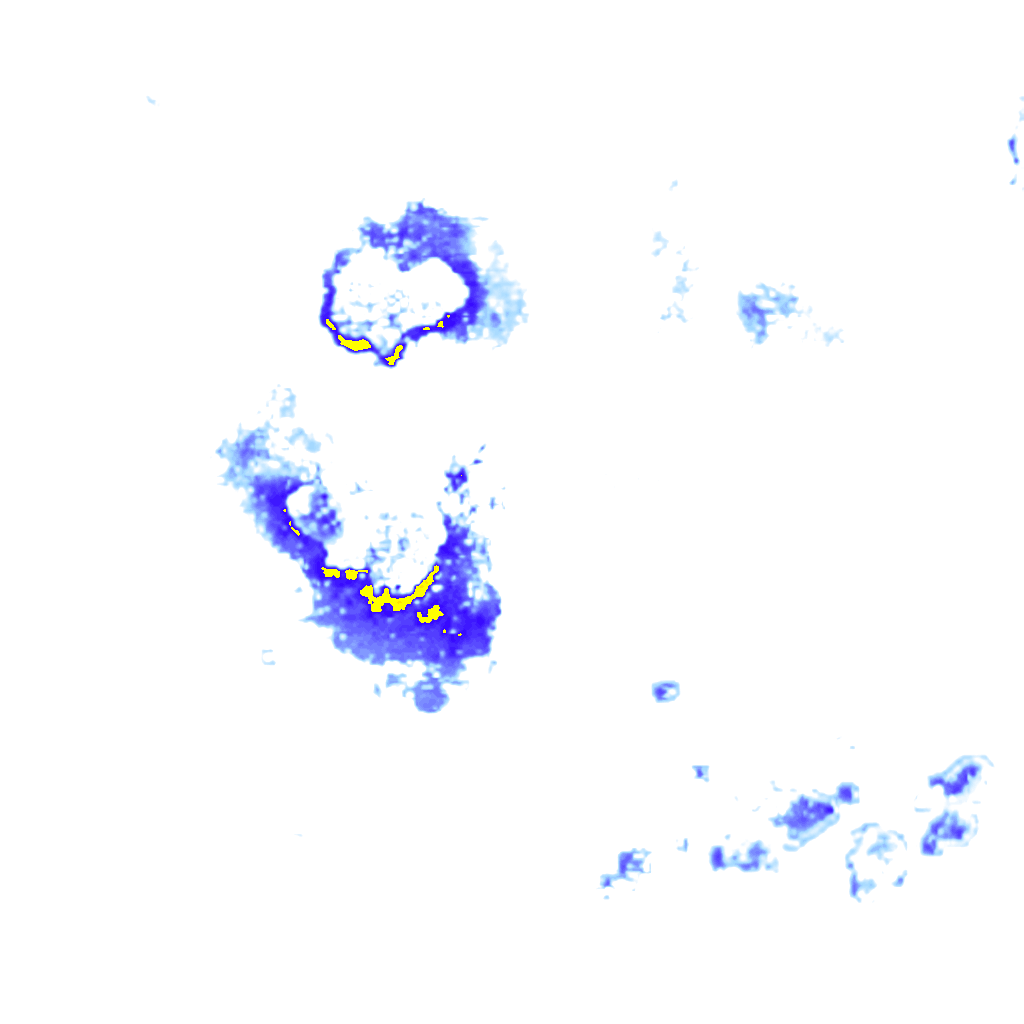 Image Layer
