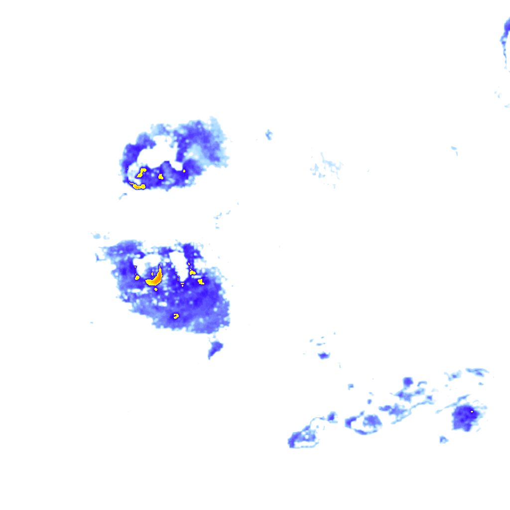 rainLayer