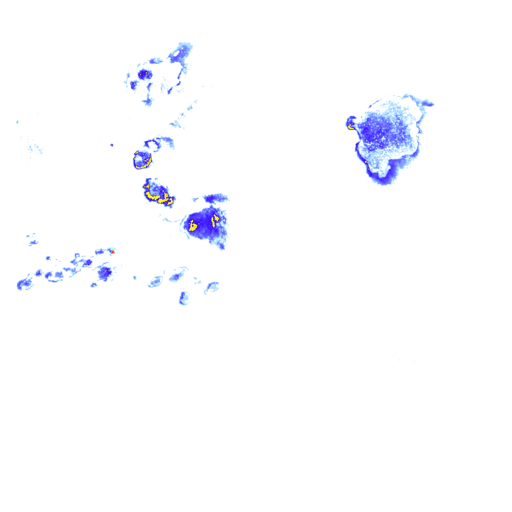 Image Layer