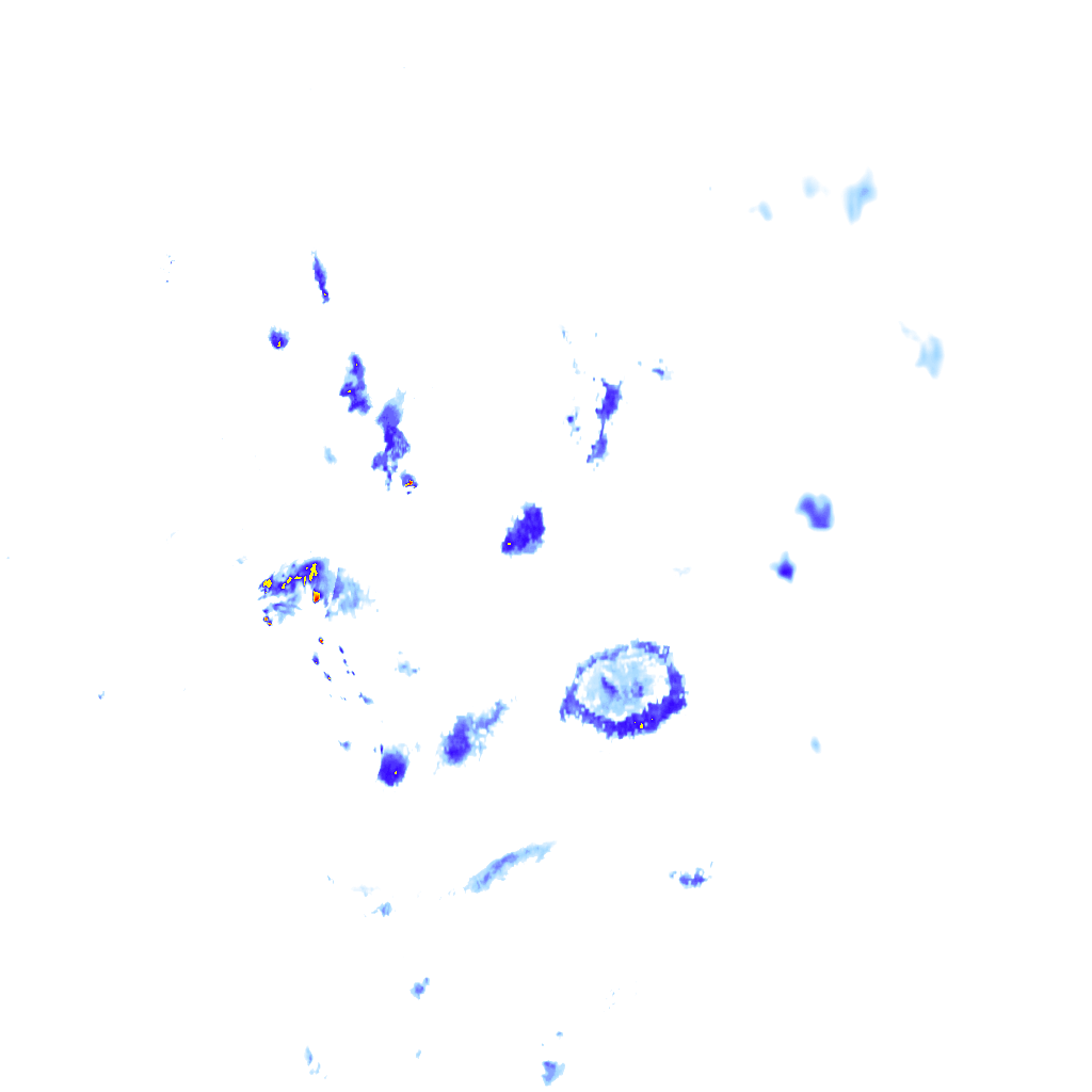 rainLayer