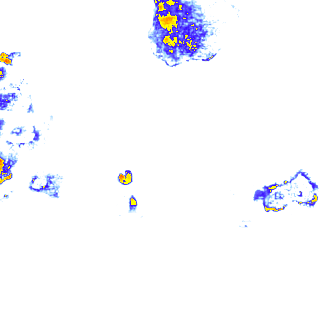 rainLayer