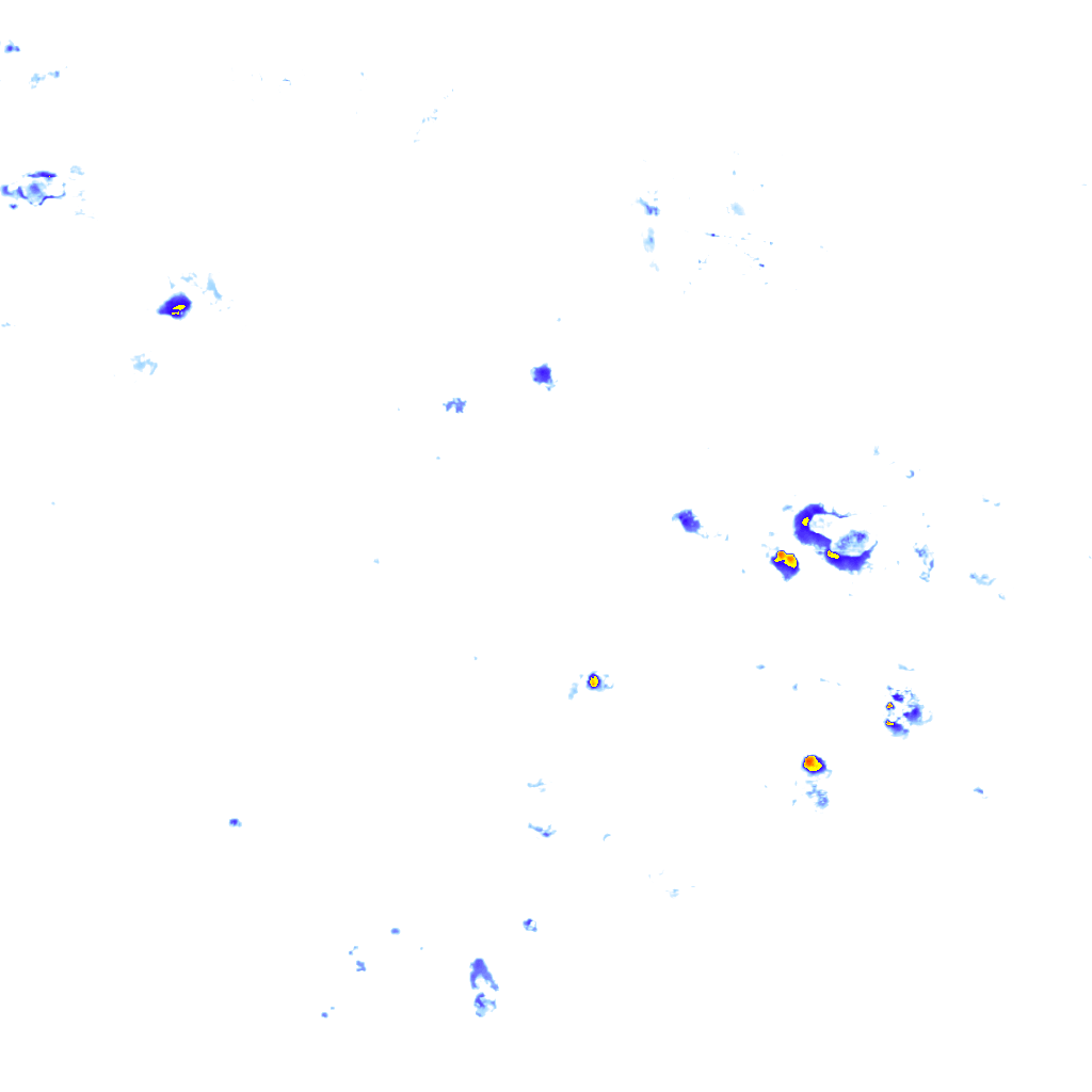rainLayer