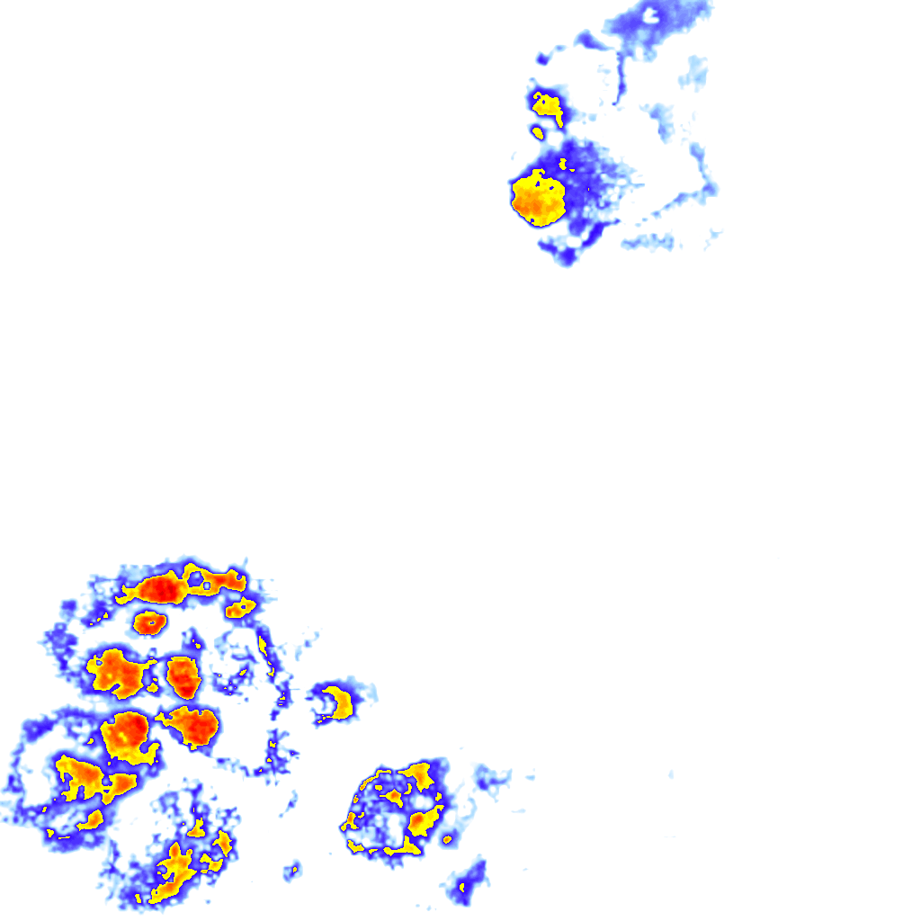Image Layer