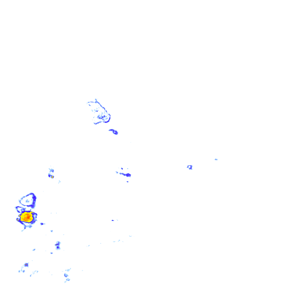 Image Layer