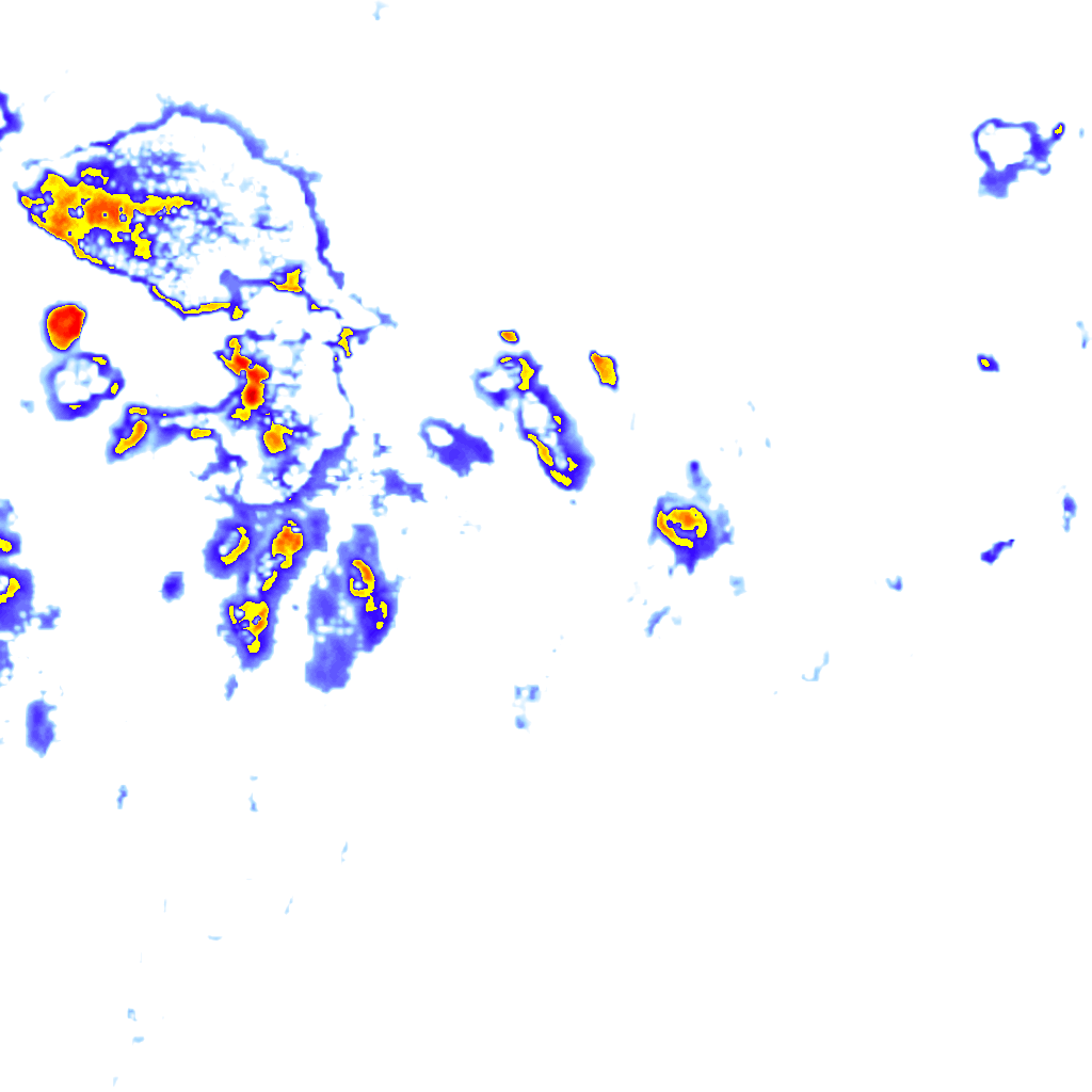 rainLayer