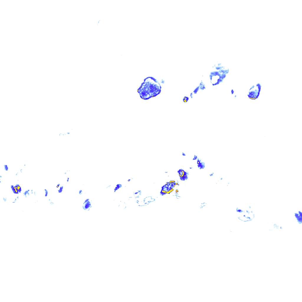 Image Layer