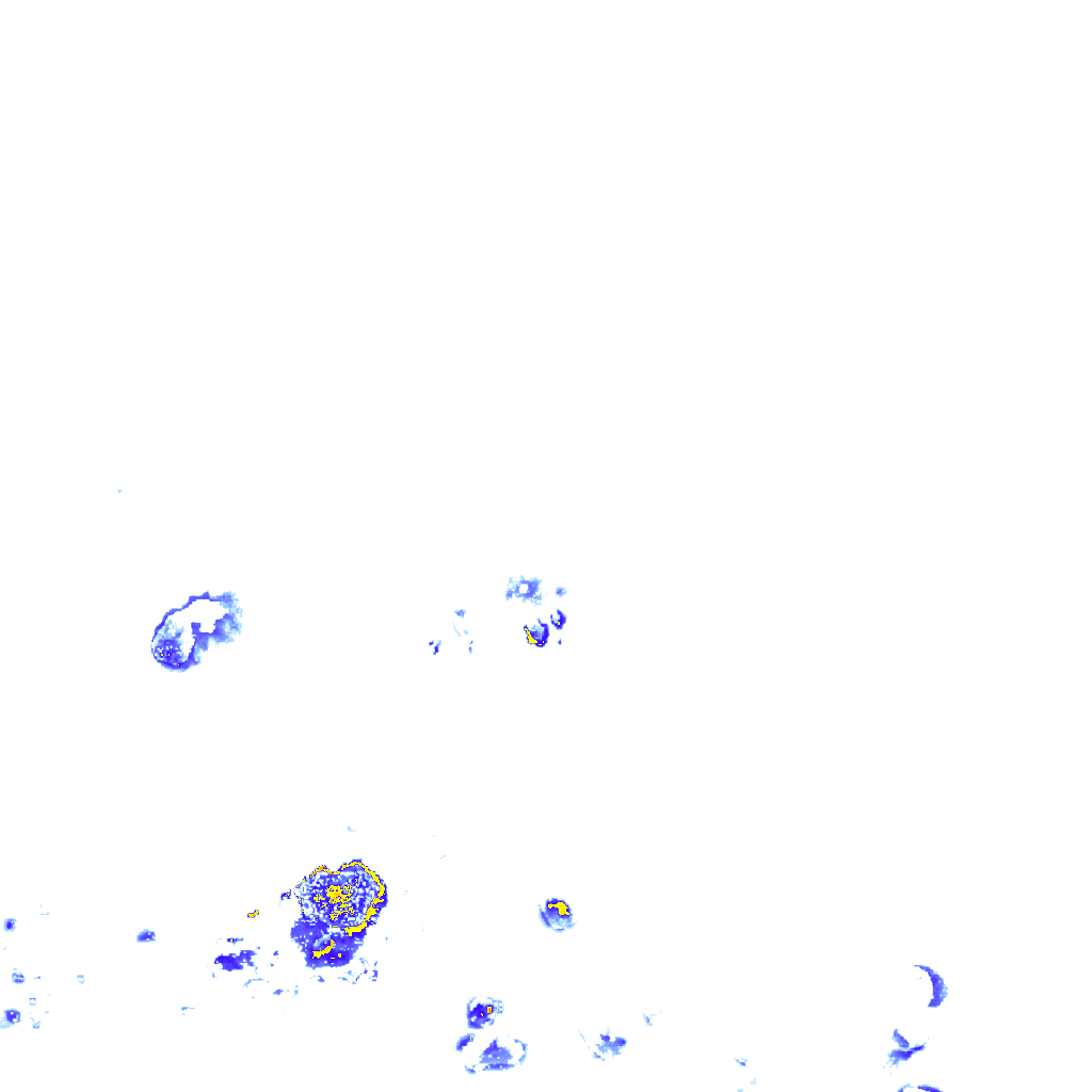 rainLayer
