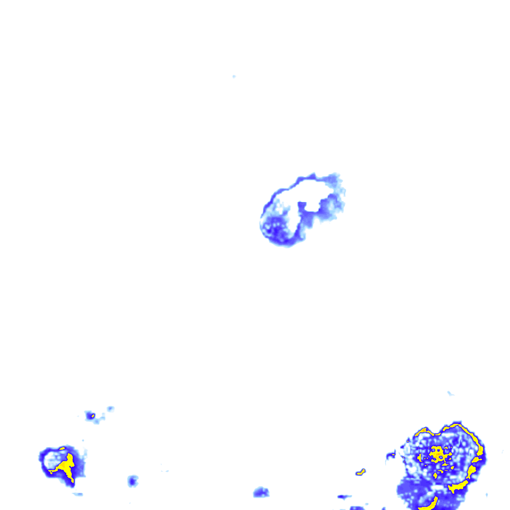 rainLayer