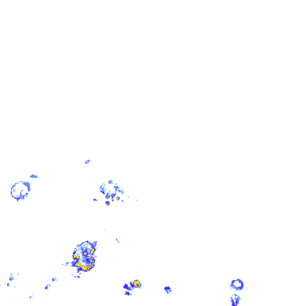 rainLayer