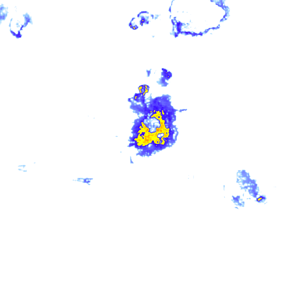 Image Layer