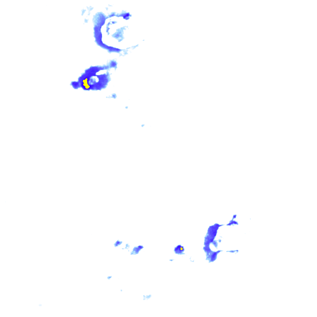 rainLayer