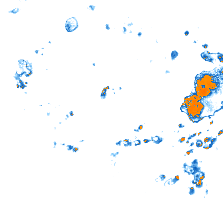 rain layer