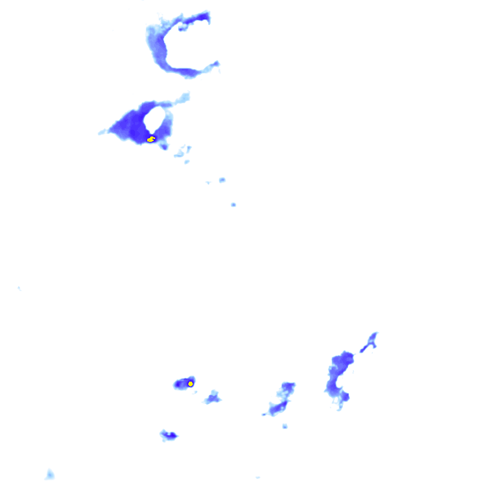 rainLayer