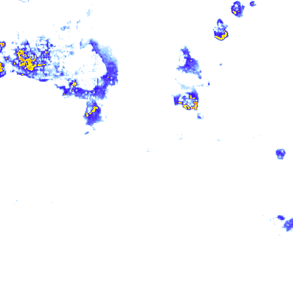 rainLayer