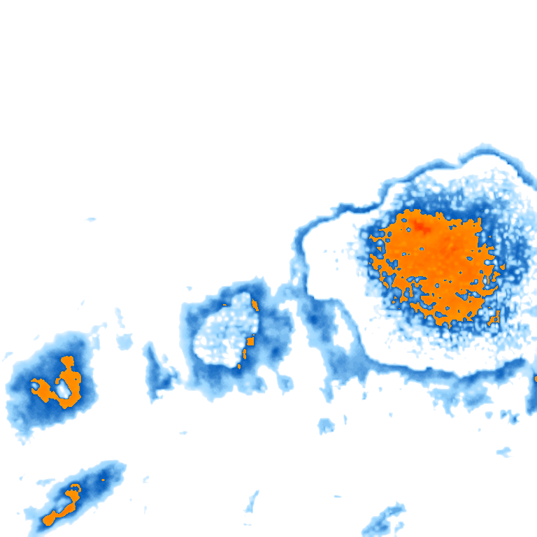 rain layer
