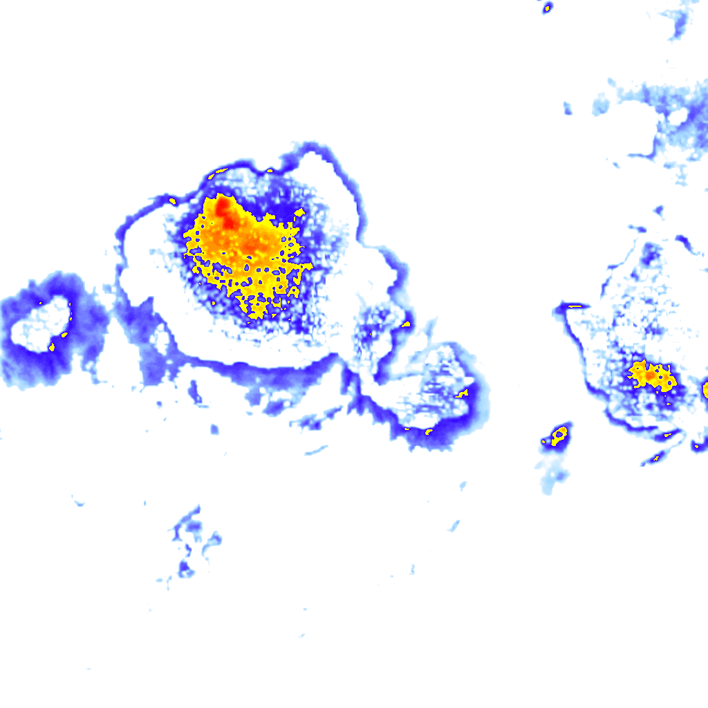 Image Layer