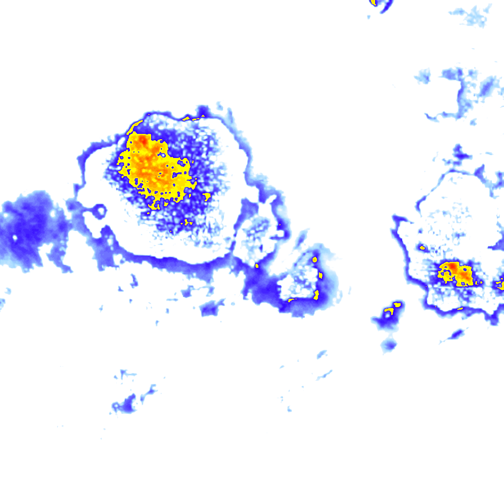 Image Layer