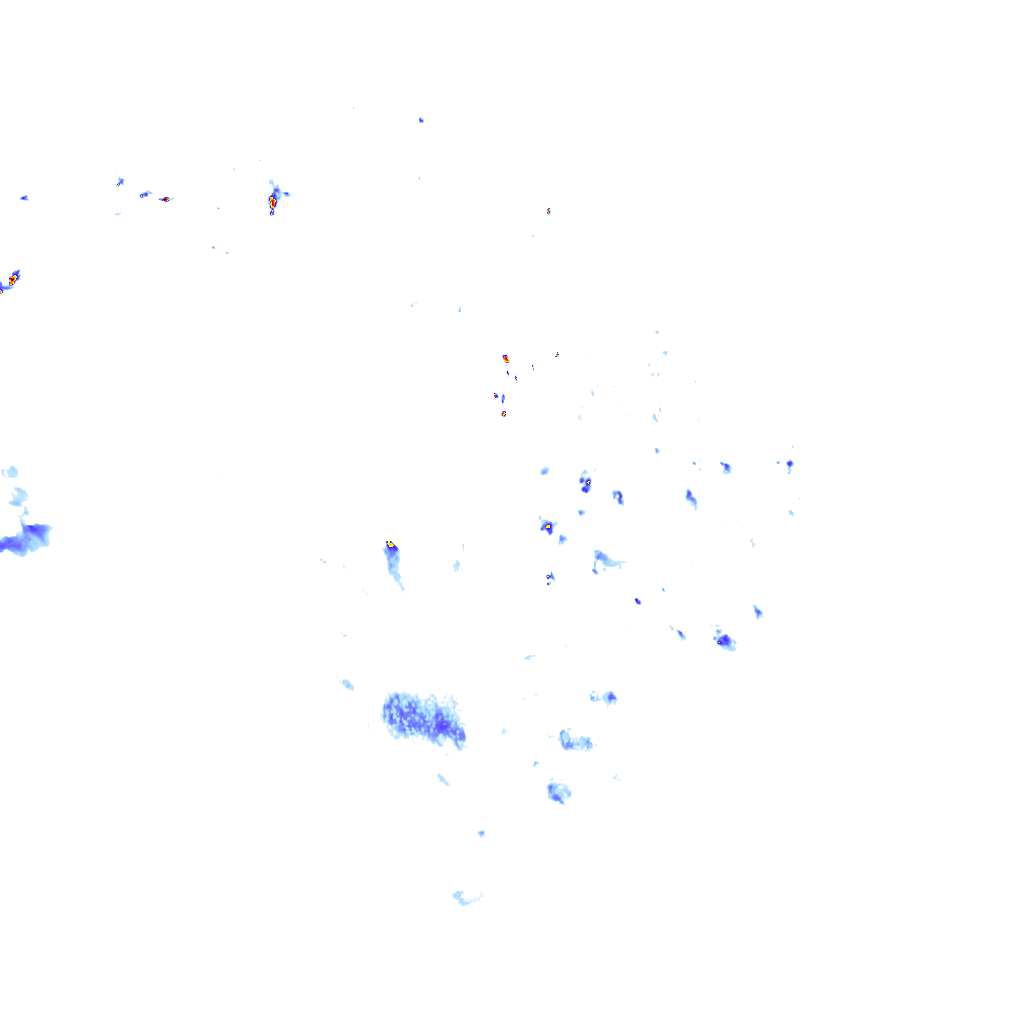 rainLayer