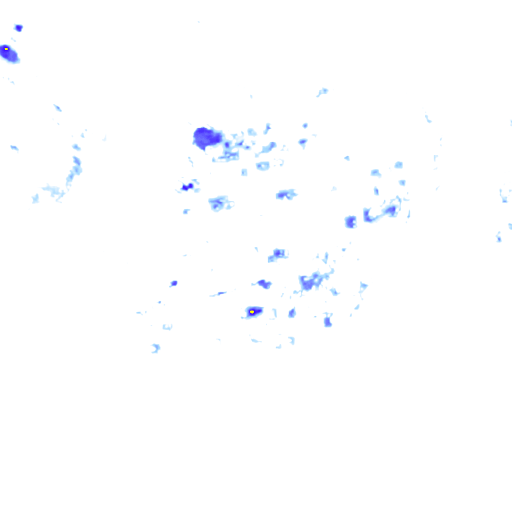 rainLayer