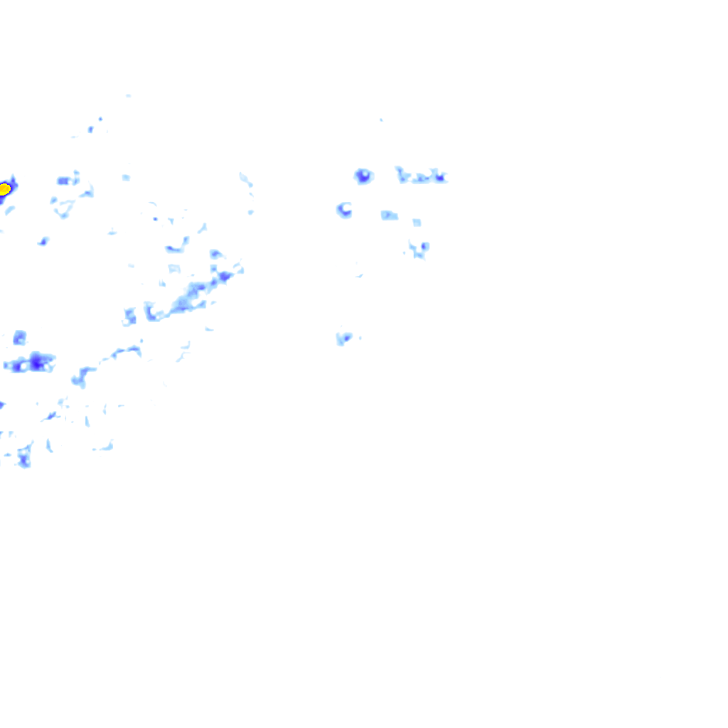 rainLayer