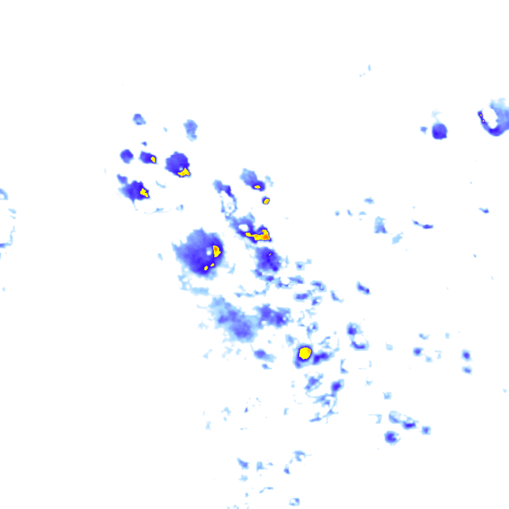 rainLayer