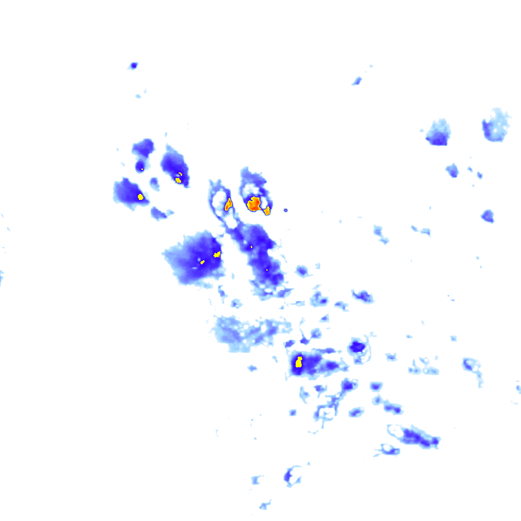 rainLayer