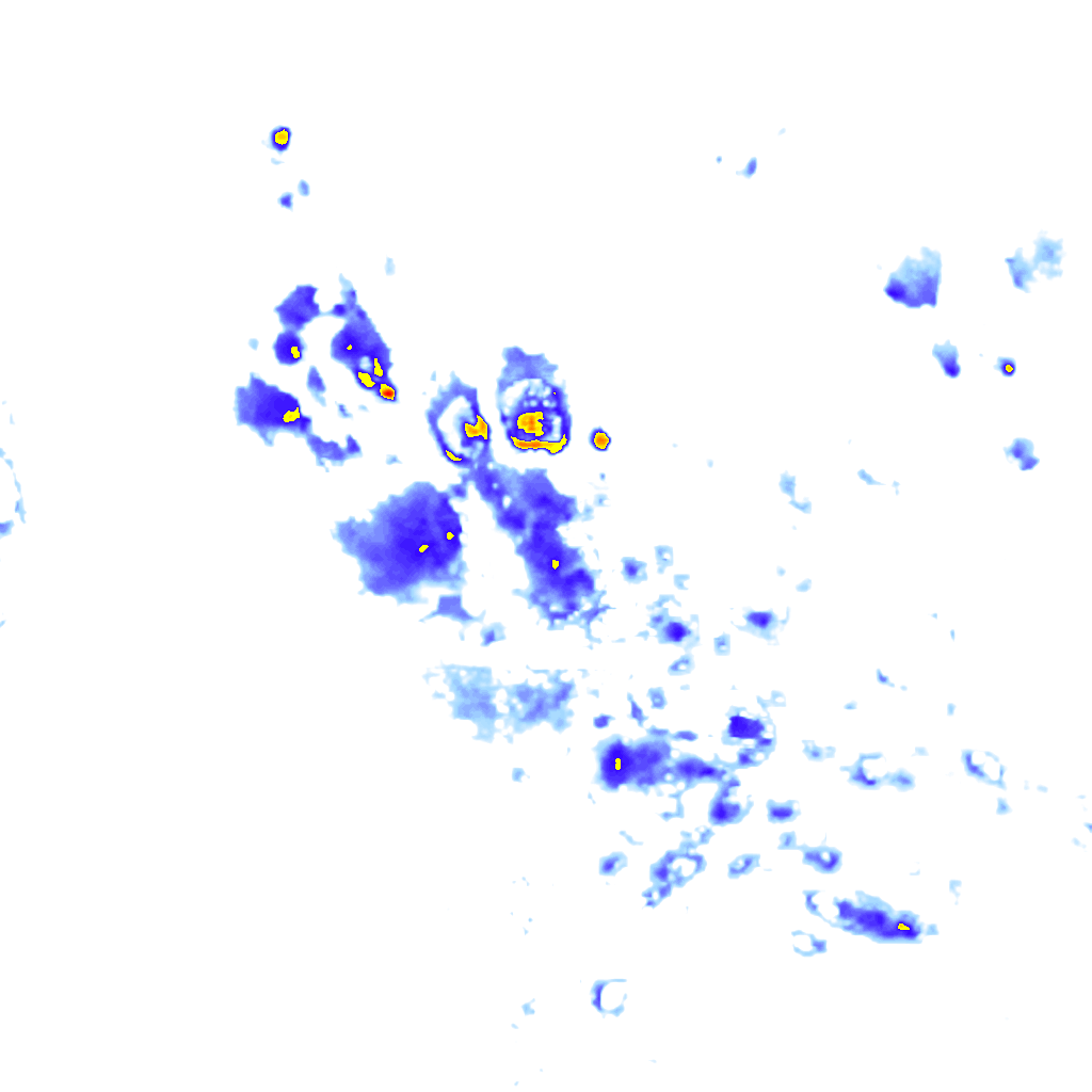 rainLayer