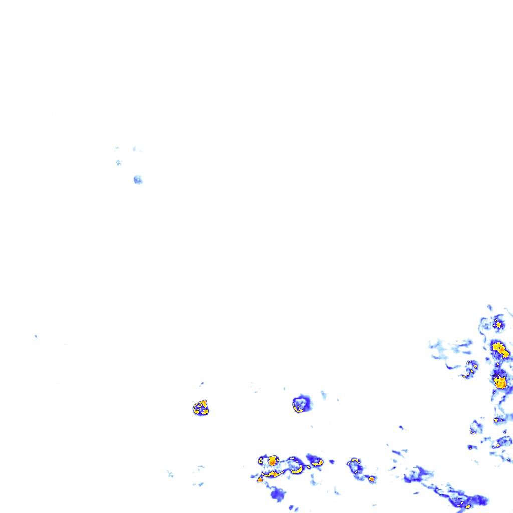 rainLayer