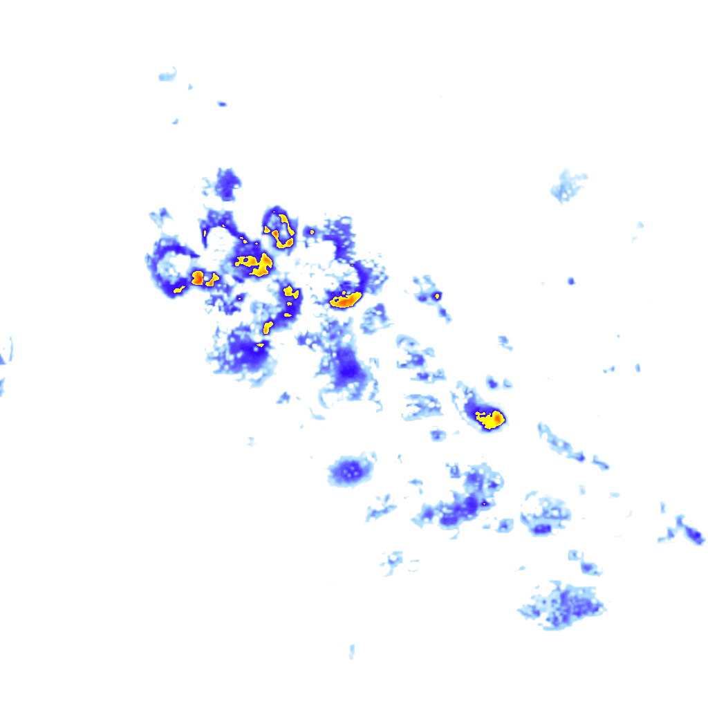 rainLayer