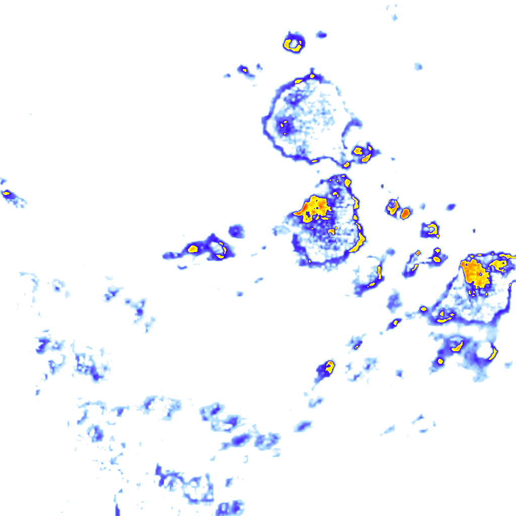rainLayer